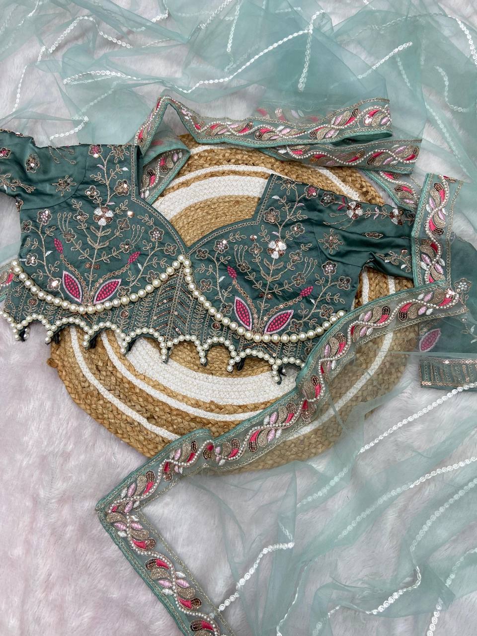 Beautiful Embroidery Dori and sequins Saree with Blouse work