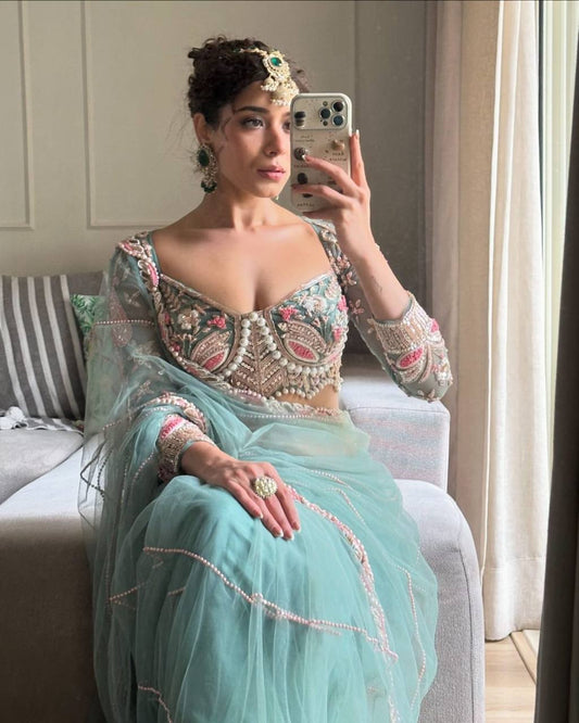 Beautiful Embroidery Dori and sequins Saree with Blouse work