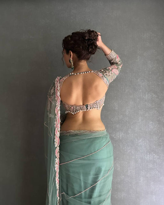 Beautiful Embroidery Dori and sequins Saree with Blouse work